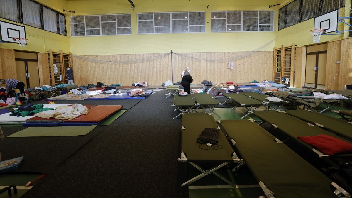 Úprava nařízení umožní pronajímat sociální byty uprchlíkům z Ukrajiny
